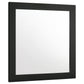 Caraway Dresser Mirror Black